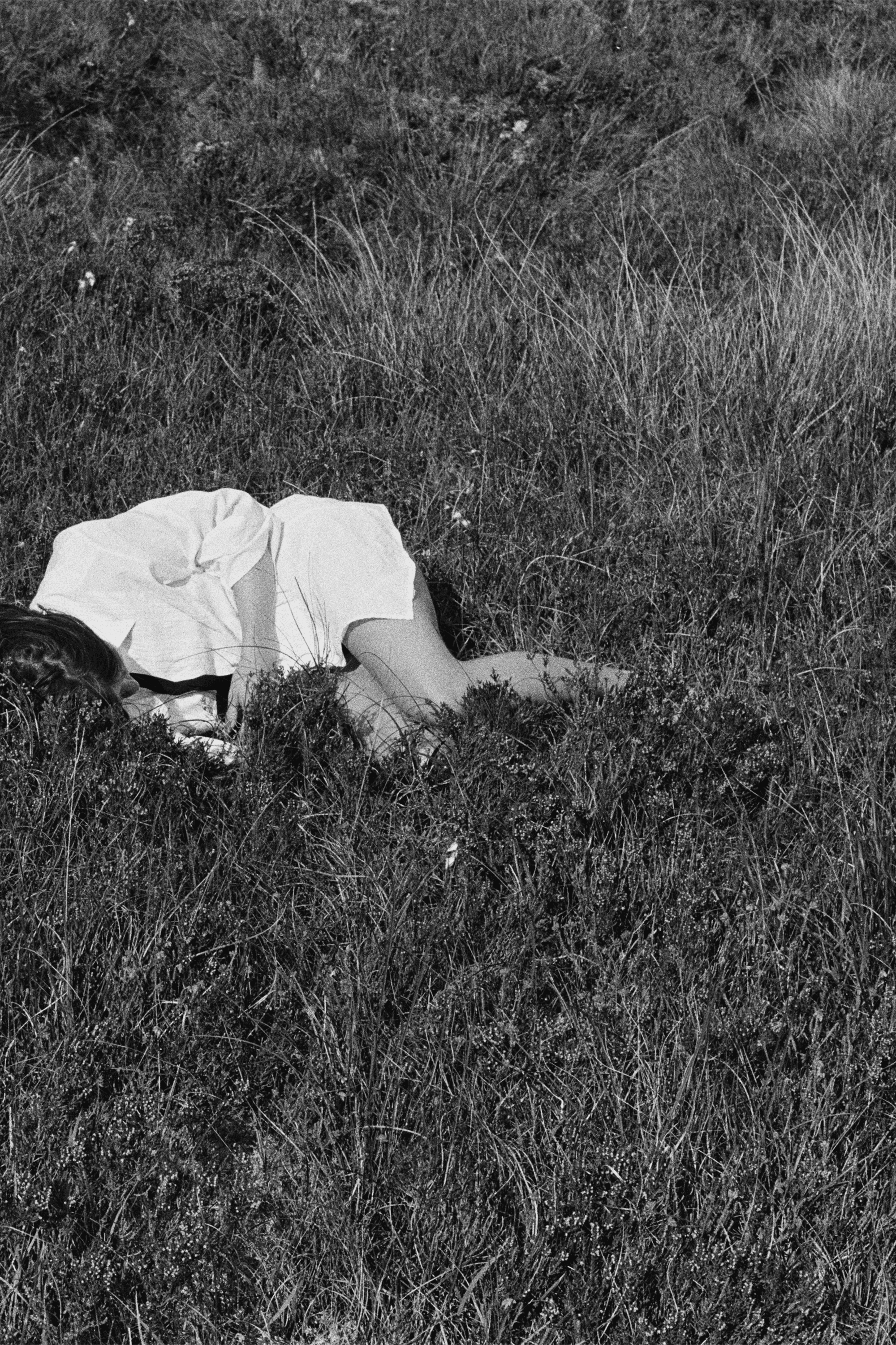 Nina Winder-Lind: Wild Love