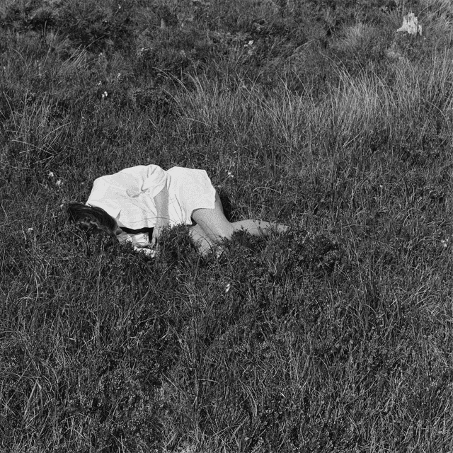 Alabama Shakes: I Must Be Dreaming — image 7