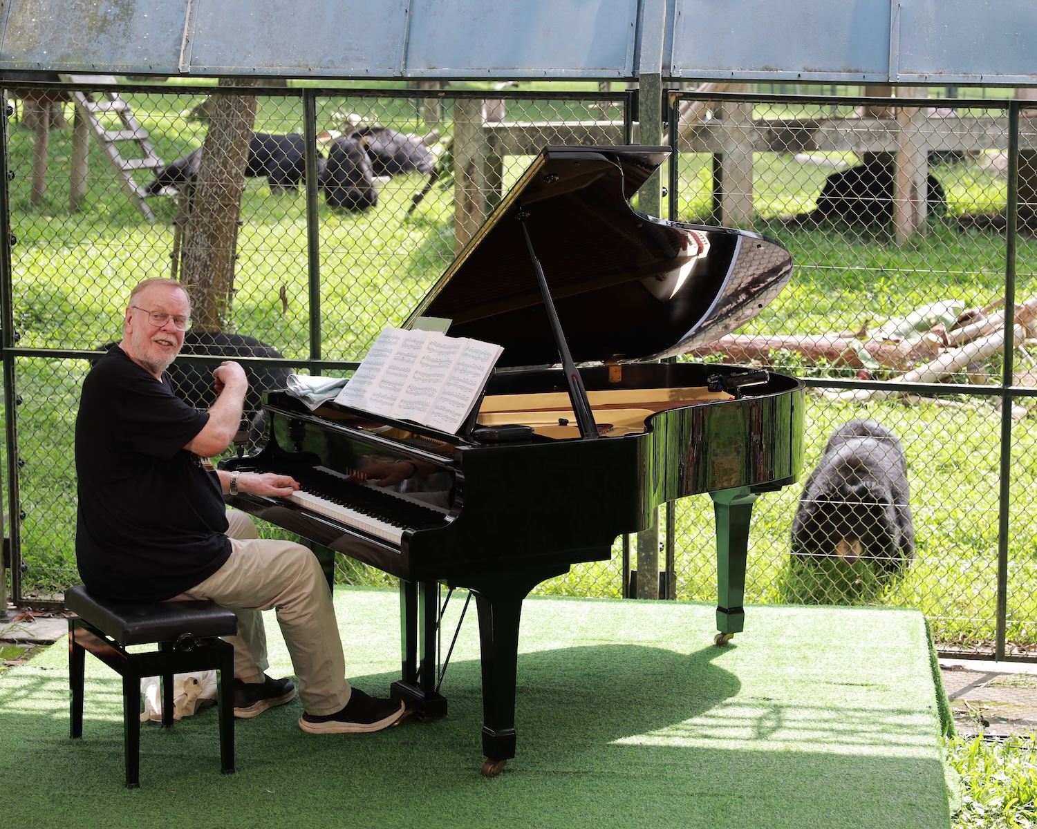 Rick Wakeman Performs For 150 Rescued Moon Bears: Watch