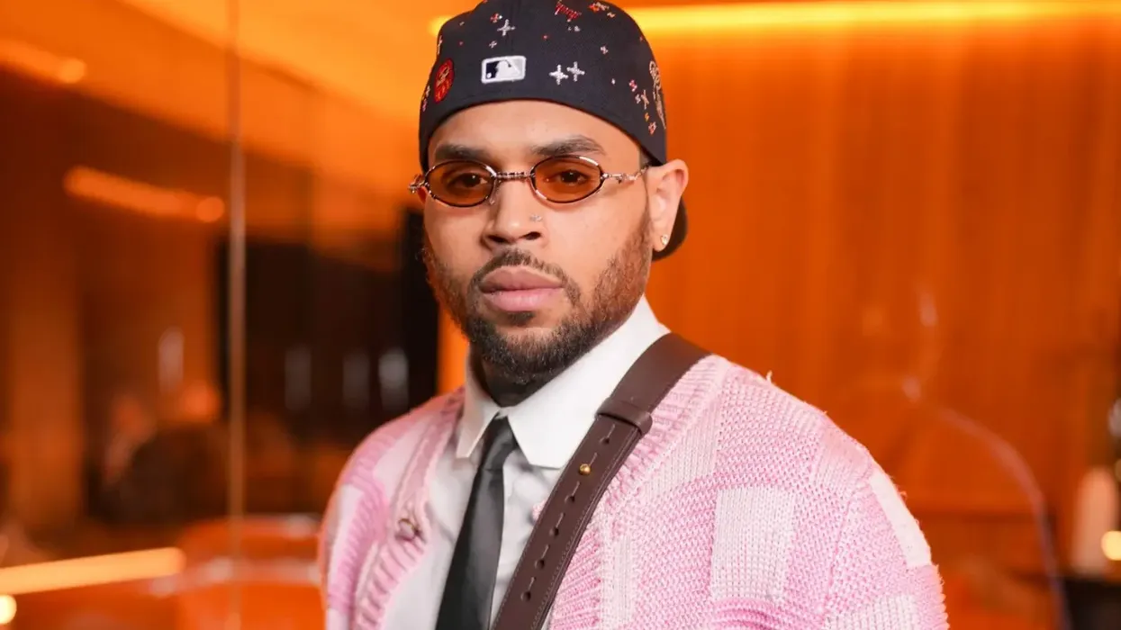 Chris Brown Will Get New Dog Attack Trial, But Only If Housekeeper Rejects Reduced $9.5 Million Award — image 4