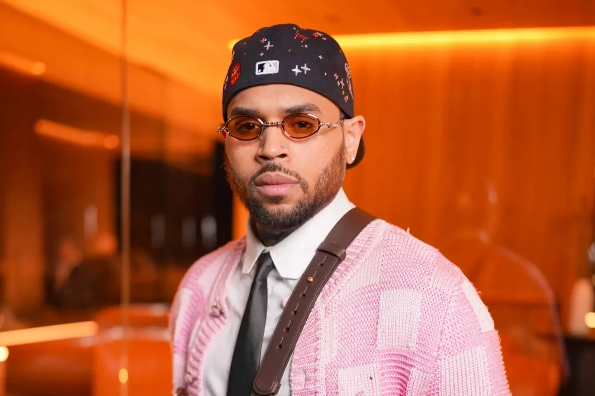 Chris Brown Will Get New Dog Attack Trial, But Only If Housekeeper Rejects Reduced $9.5 Million Award — image 6