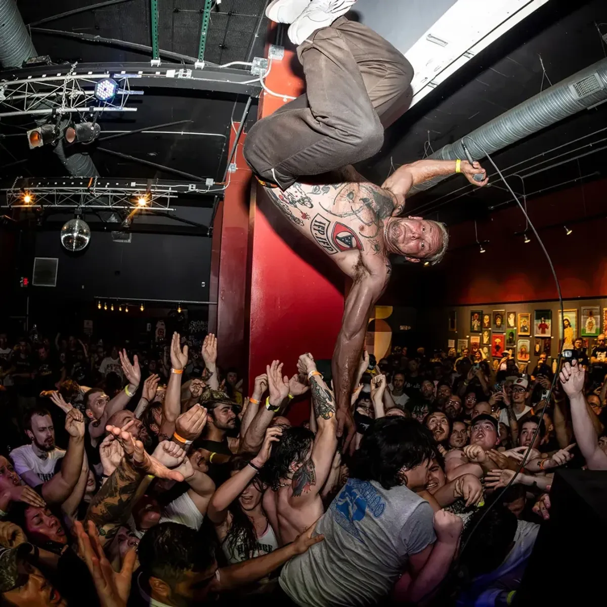 Haywire Are Living Their Hardcore Dreams — image 2